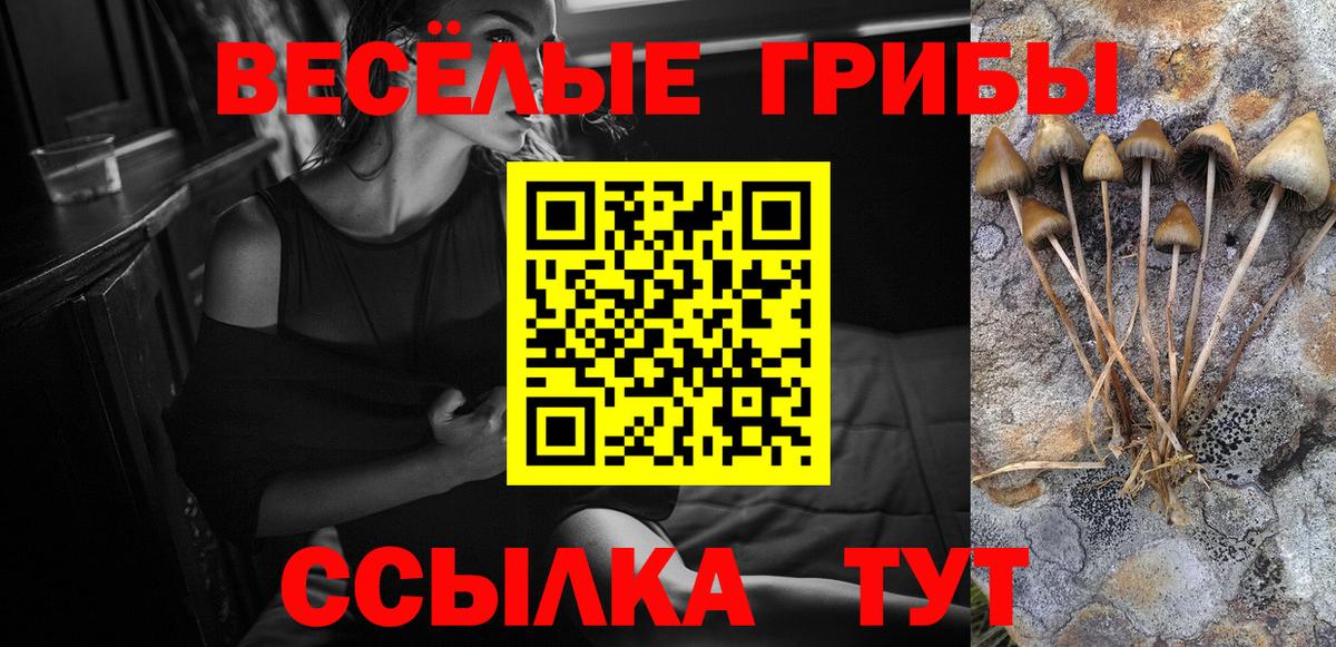 купить закладку  Вход с VPN  Галлюциногенные грибы ЛСД  Ногинск  Псилоцибиновые грибы ЛСД 